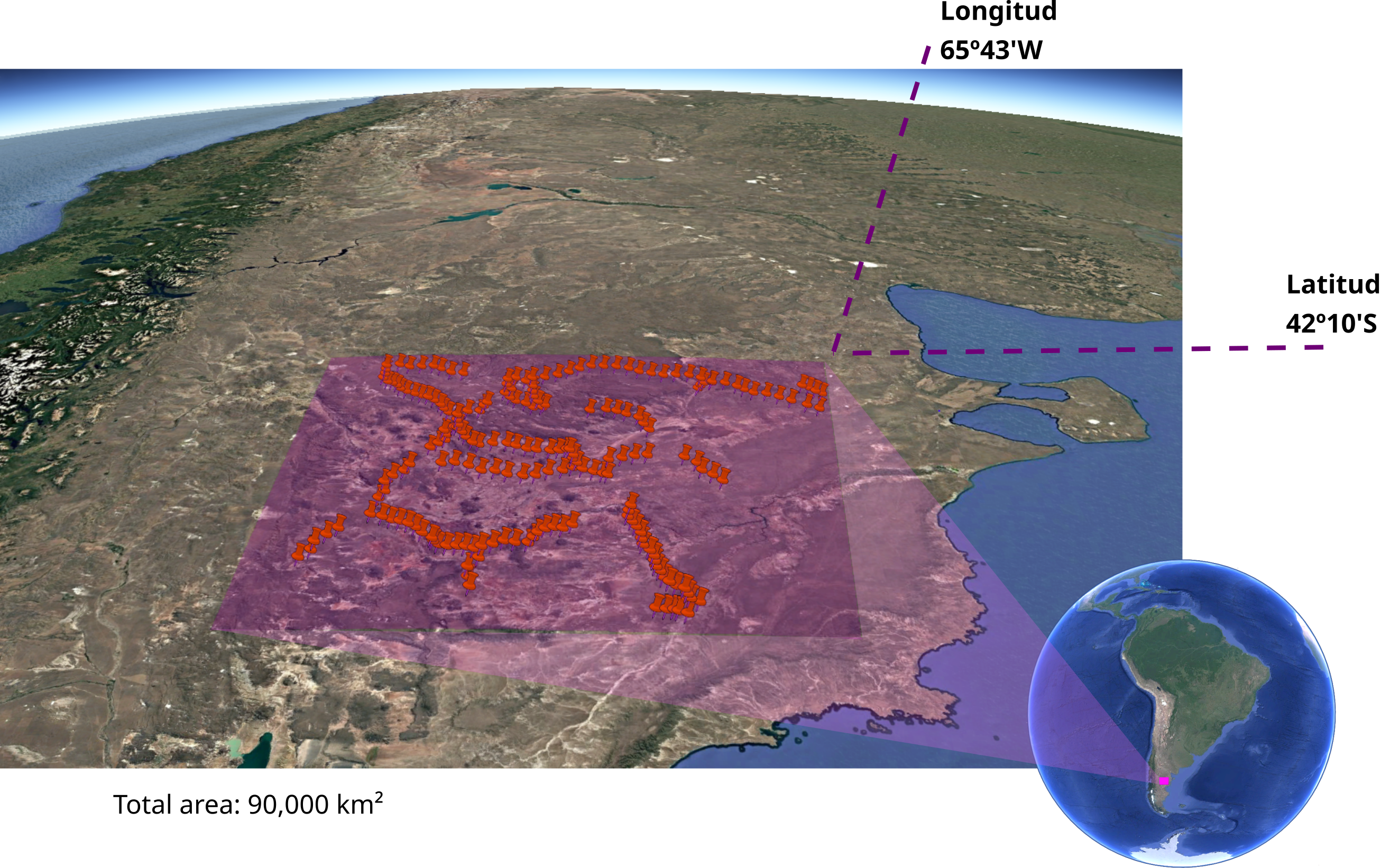 Mapa de Patagonia con rutas de estudio de flora